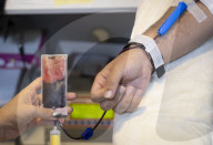 Iranians Attend To Donate Blood For Massive Blast Victims