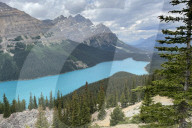 Peyto Lake Canada