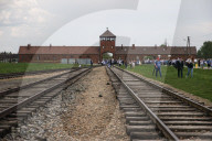 International March Of The Living  2025