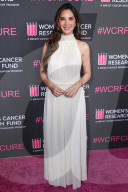 The Women's Cancer Research Fund's An Unforgettable Evening Benefit Gala 2025