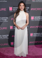 The Women's Cancer Research Fund's An Unforgettable Evening Benefit Gala 2025