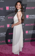 The Women's Cancer Research Fund's An Unforgettable Evening Benefit Gala 2025