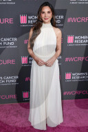 The Women's Cancer Research Fund's An Unforgettable Evening Benefit Gala 2025