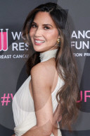 The Women's Cancer Research Fund's An Unforgettable Evening Benefit Gala 2025