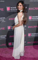 The Women's Cancer Research Fund's An Unforgettable Evening Benefit Gala 2025