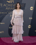 AFI Life Achievement Award Ceremony Honoring Francis Ford Coppola