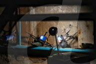 Ukraine's Shershni Dovbusha UCAV company 