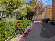 Spring In A Munich Housing Estate