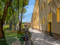 Spring In A Munich Housing Estate