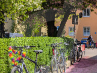 Spring In A Munich Housing Estate