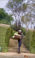 Meghan Markle gives glimpse of mansion grounds