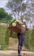 Meghan Markle gives glimpse of mansion grounds