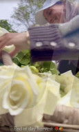 Meghan Markle gives glimpse of mansion grounds