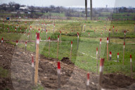 Sappers clear Russian laid landmines in Ukraine's farmlands