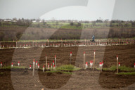 Sappers clear Russian laid landmines in Ukraine's farmlands