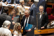 Questions To The French Government At The National Assembly