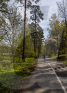 Spring In Linköping, Sweden