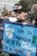 Michigan: Protest Against Trump's First 100 Days