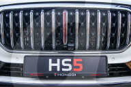 Hongqi Car