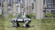 Wheeled industrial robot