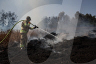 Wildfires In Israel Continue In 11 Locations