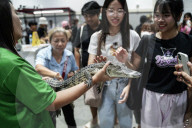 Pet Expo Thailand 2025.