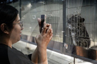 Pet Expo Thailand 2025.