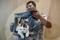 Pet Expo Thailand 2025.