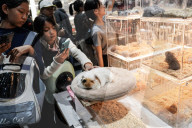 Pet Expo Thailand 2025.