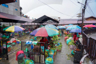 Rainfall In Kathmandu, Nepal