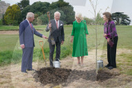 Charles and Camilla plant a tree with with King & Queen of Sweden