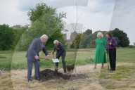 Charles and Camilla plant a tree with with King & Queen of Sweden