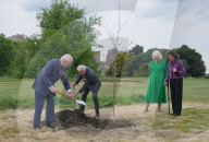 Charles and Camilla plant a tree with with King & Queen of Sweden