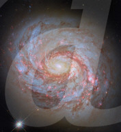 Hubble Spots A Squid In The Whale