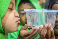 National Education Day In Indonesia 