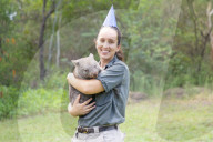 Happy Birthday: Wombat Bucky feiert im Australian Reptile Park seinen ersten Geburtstag