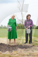 King Charles & Queen Camilla with King & Queen of Sweden in Windsor, UK.