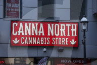 Daily Life In Toronto, Canada