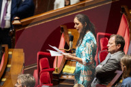 Questions To The French Government At The National Assembly