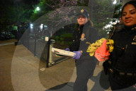 34-year-old Son Shot By The NYPD As He Held His Mother At Knifepoint At 1740 Mulford Avenue