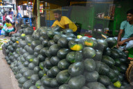 Watermelon Market in India