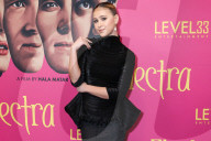 Los Angeles Premiere Of Level 33 Entertainment's 'Electra'
