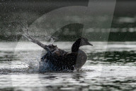 Wildlife At The Oxbow Nature Conservancy