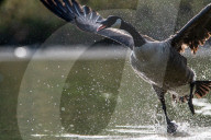 Wildlife At The Oxbow Nature Conservancy
