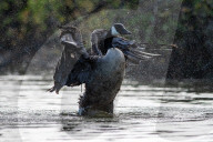Wildlife At The Oxbow Nature Conservancy