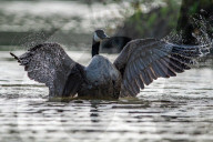 Wildlife At The Oxbow Nature Conservancy