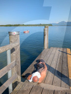 Day Trippers At Bavarian Lake Chiemsee