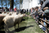 Spring Redyk In Ludzmierz