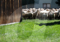 Spring Redyk In Ludzmierz