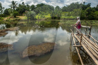 Cultivating Indonesian Spices In Patumbak 